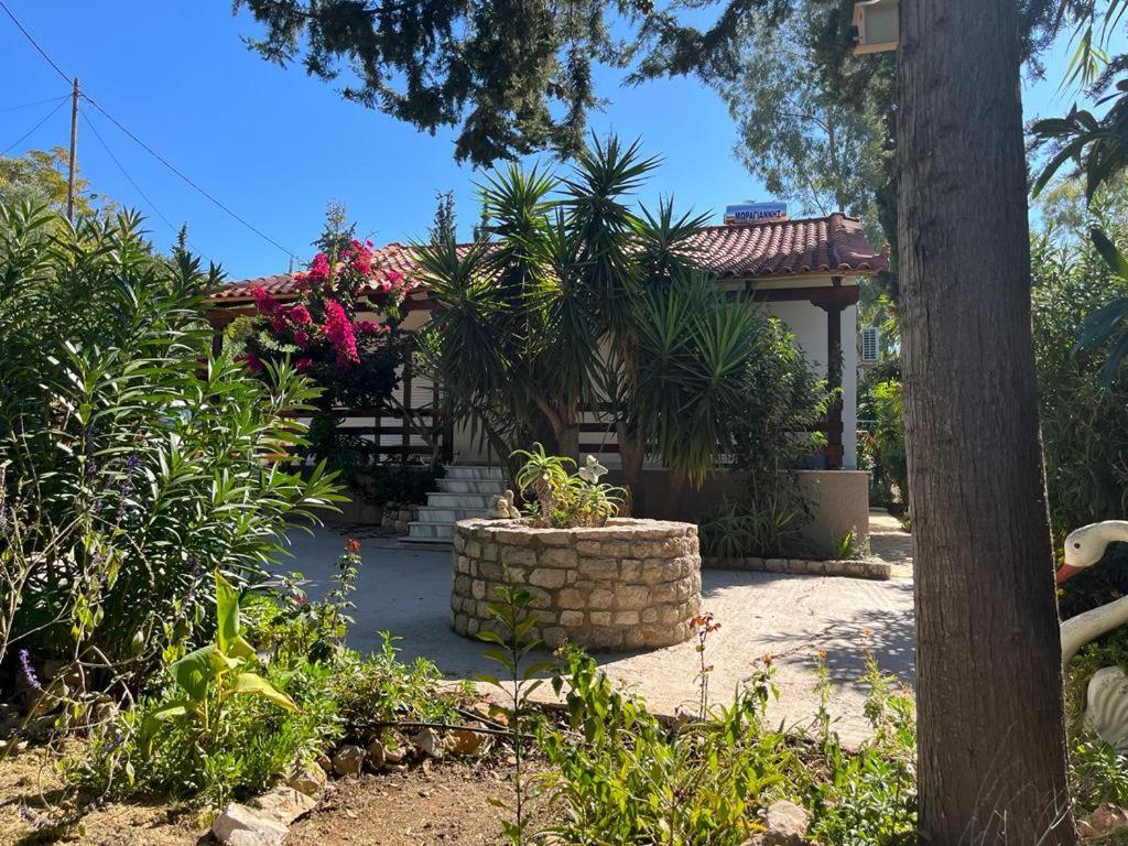 Gialova Garden Bungalow Ngoại thất bức ảnh